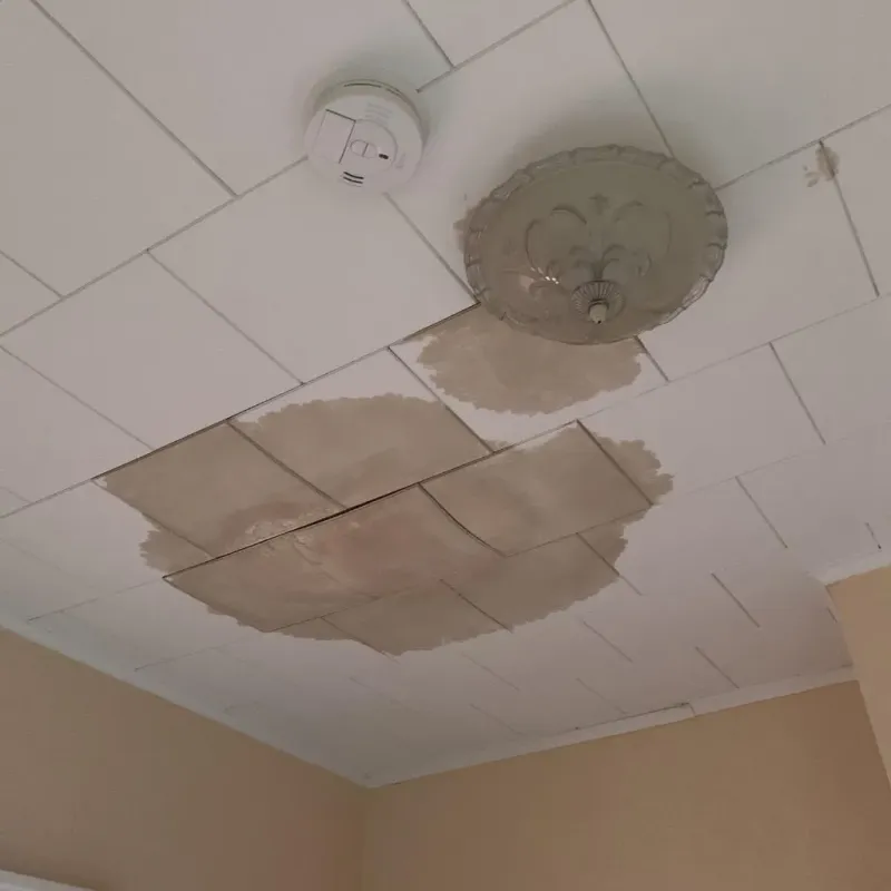 Ceiling Water Damage Repair in Barnesville, OH