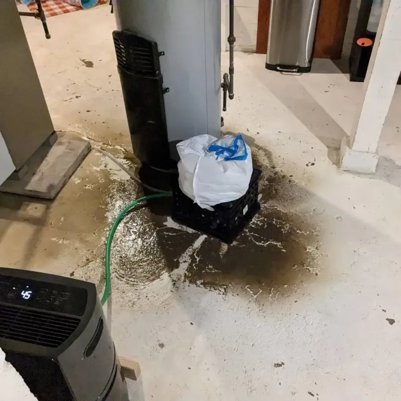 Sewage Backup Cleanup Service in Barnesville, OH